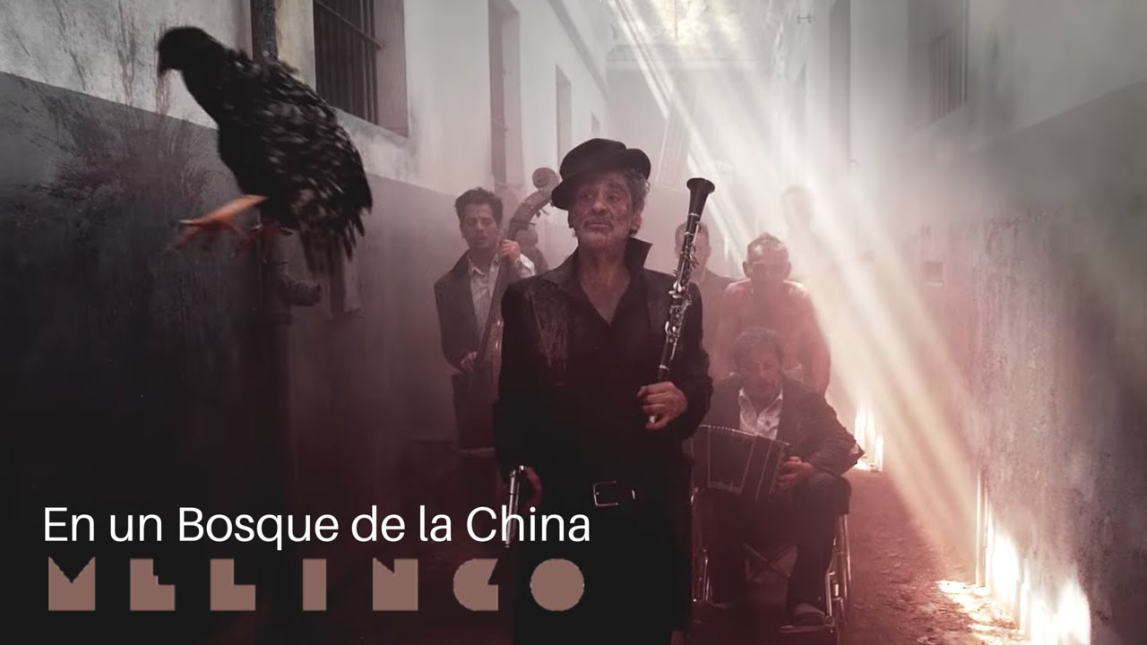 Melingo - En un Bosque de la China [Official Music Video]