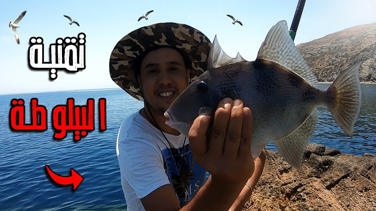 الصيد بتقنية البيلوطة وسط جزيرة🏝️سمكة الذيب كانت غادي تاخد القصبة🎣ميمكنش شوفو شنو وقع😱الصيد والطبخ🍗🔥