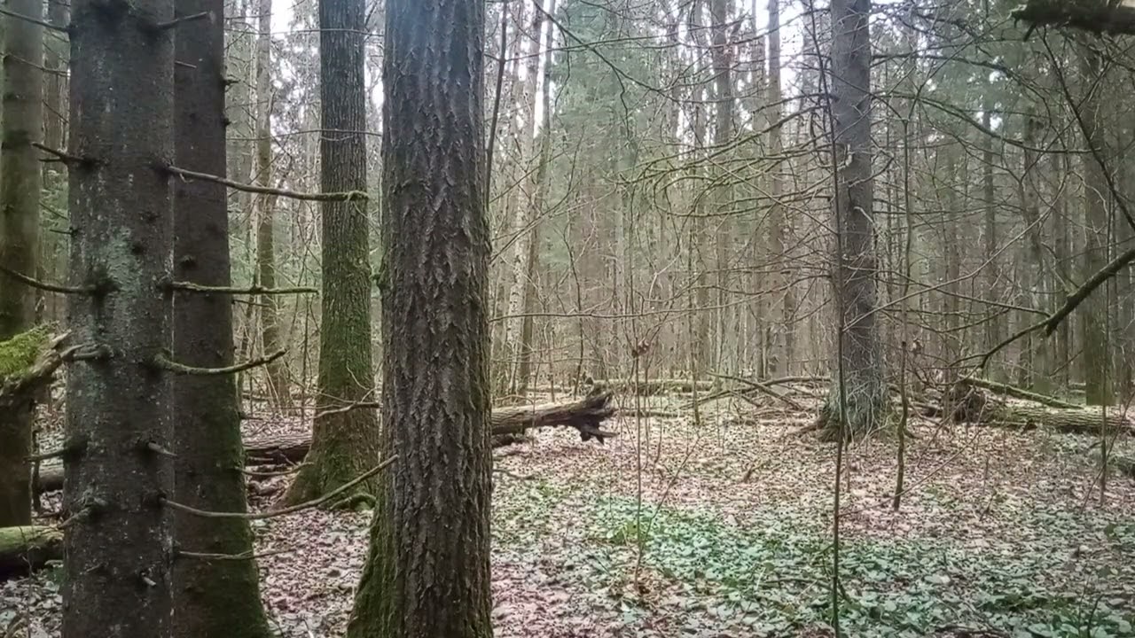 Как ориентироваться в походе 