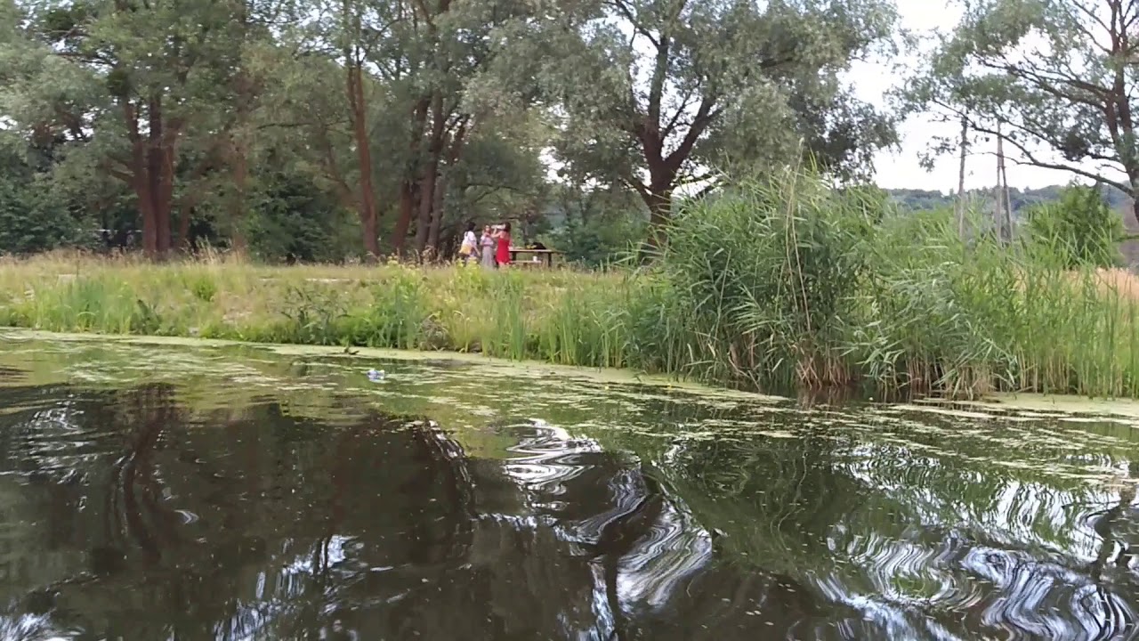 Удивительные места.  Шишаки.  р.  Псел  в 2020 году.