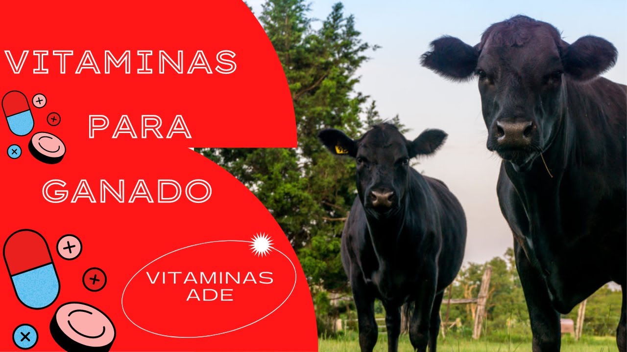 VITAMINAS PARA EL GANADO / VITAMINAS ADE PARA GANADO