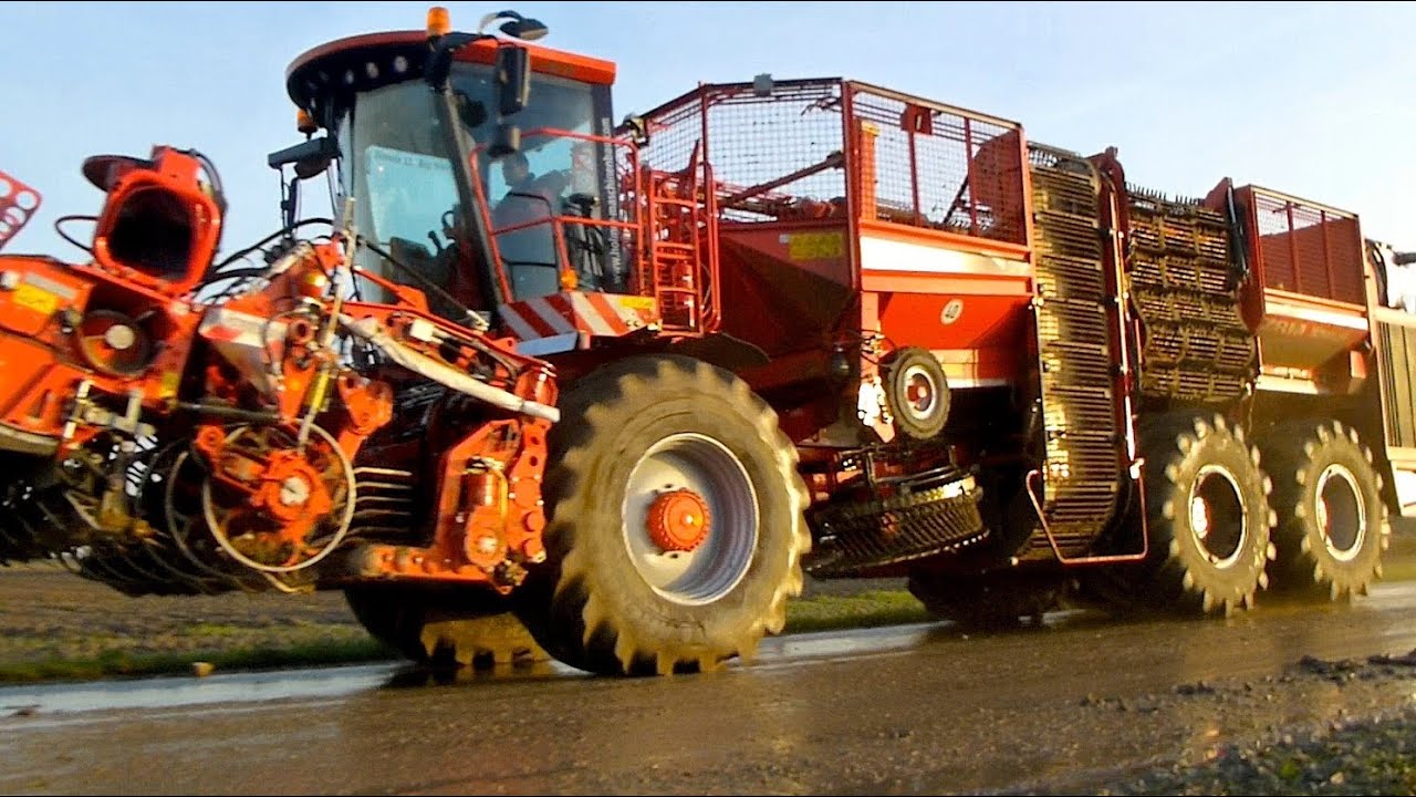 Holmer T4-40 & TerraDos T2 Bieten rooien / lifting sugar beet / zuckerrübenernte