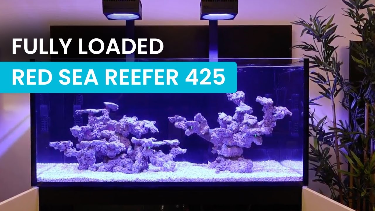 Полностью укомплектованный Red Sea Reefer 425: идеальный рифовый аквариум! 🐠🌊