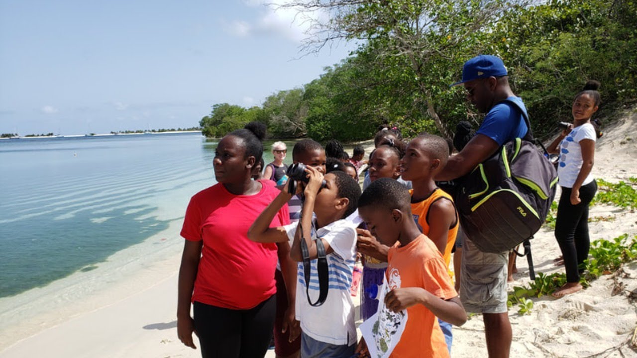 World of Seabirds: Interview with Juliana Coffey, Environmental Protection in the Caribbean
