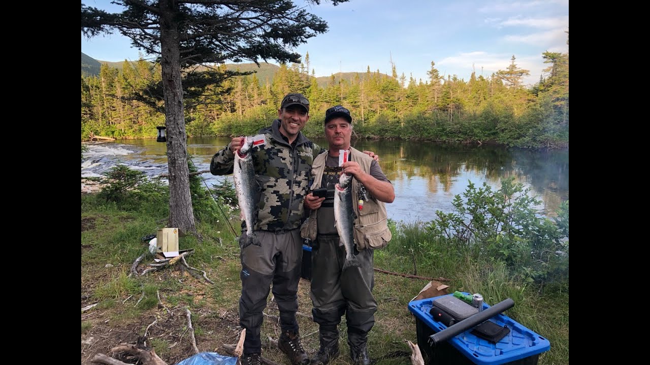Salmon fishing down serpentine river NL!!