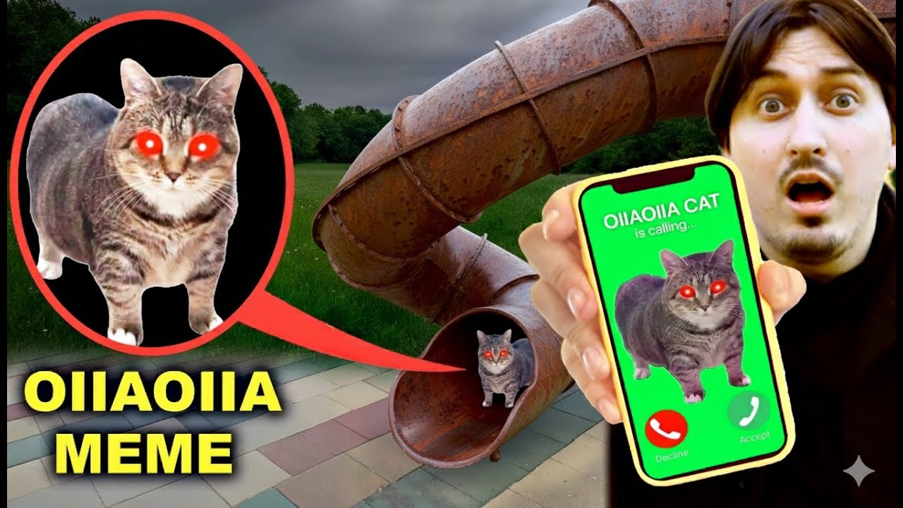 OIIAOIIA CAT come to NIKPIG best moments Spinning Cat Meme Remix 2025