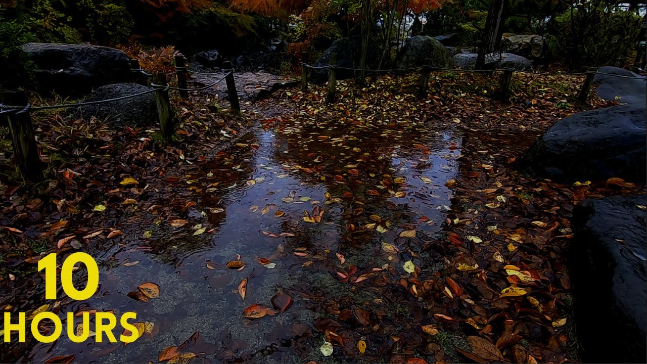 Sleep-Inducing Rain Sounds in the Japanese Garden / White Noise for Deep Sleep