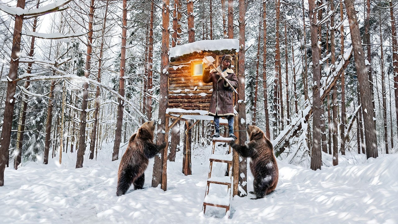 Man built a Shelter from PREDATORS in a tree from START to FINISH in 5 hours