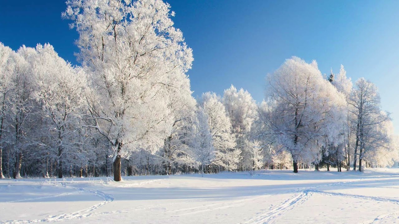 Snow Run