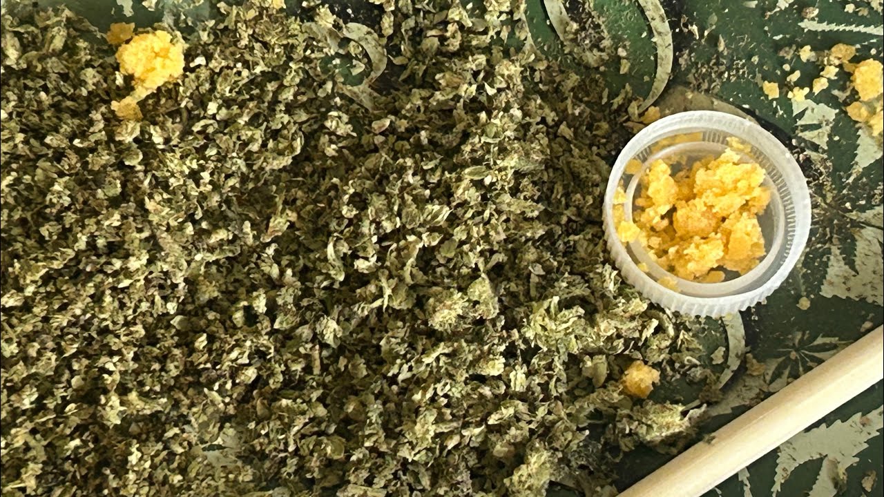 Cannabis Creation | Glorious Cannabis Co. | Glitter Tree | Muha Meds | Live Resin | Infused Doobie 