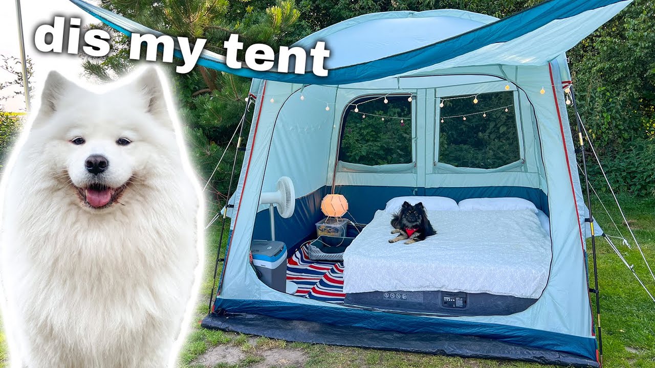 Taking My Dogs On A Fun Camping Trip in the Netherlands