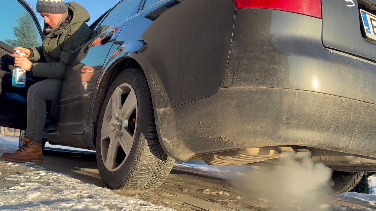 1.9 TDI Cold Start -17c