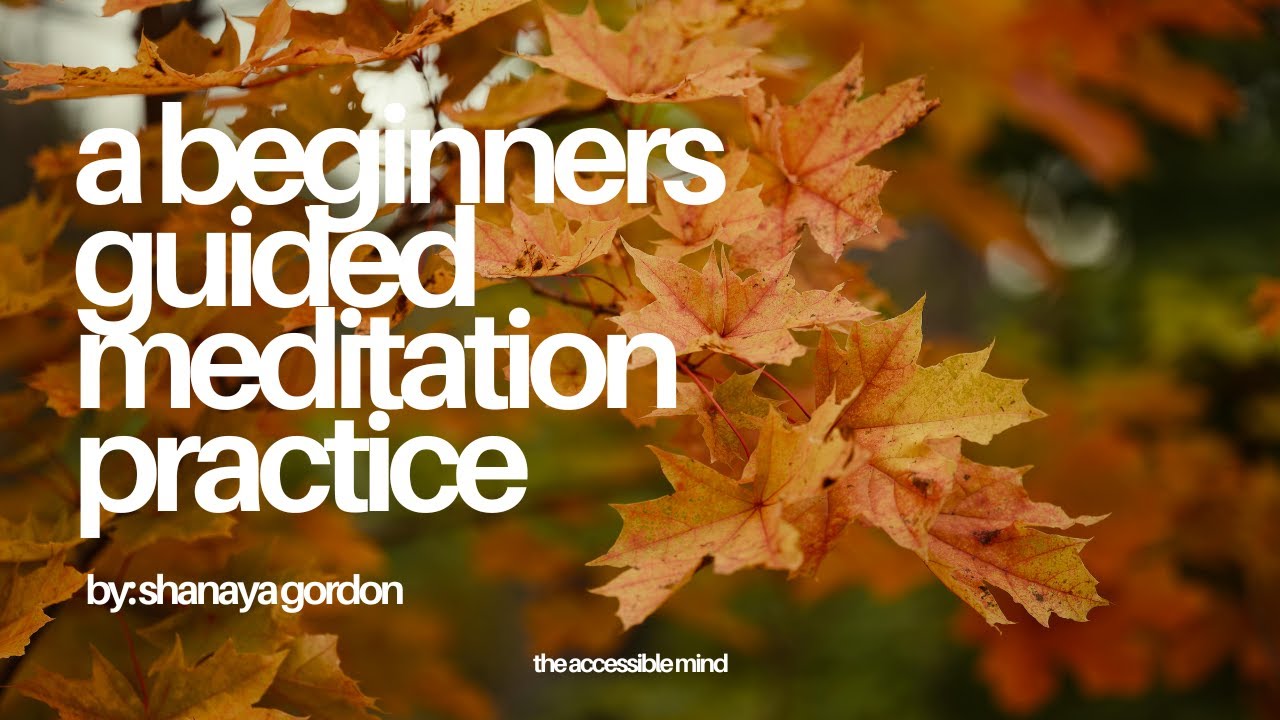 Beginners Guided Meditation Practice