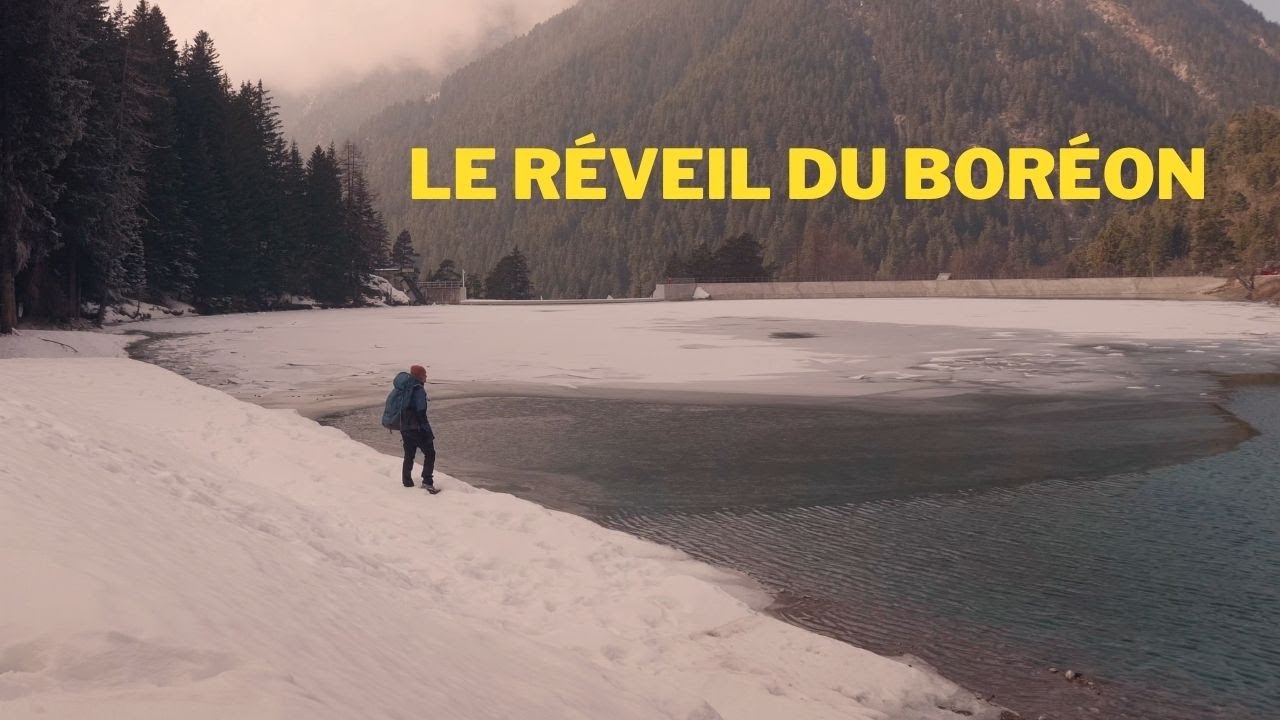 Le Réveil du Boréon - Les cicatrices de la Tempête Alex Saint Martin Vésubie - Alpes Mercantour