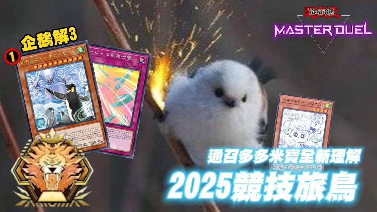 阿較解封！🐦2025旅鳥牌組介紹/實戰 《蓬鬆旅風｜ふわんだりぃず｜Floowandereeze｜蓬鬆奇風鳥｜随风飘飘游》【遊戲王 Master Duel】