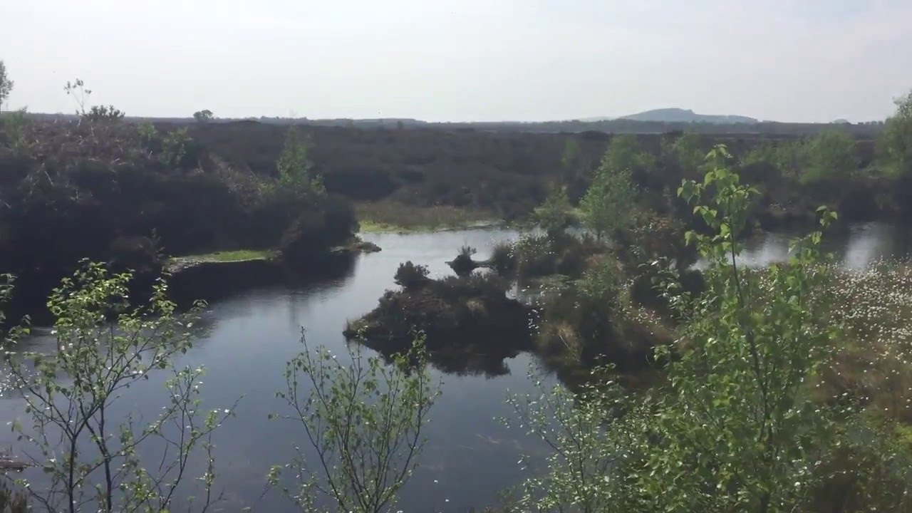Boglands of Ireland