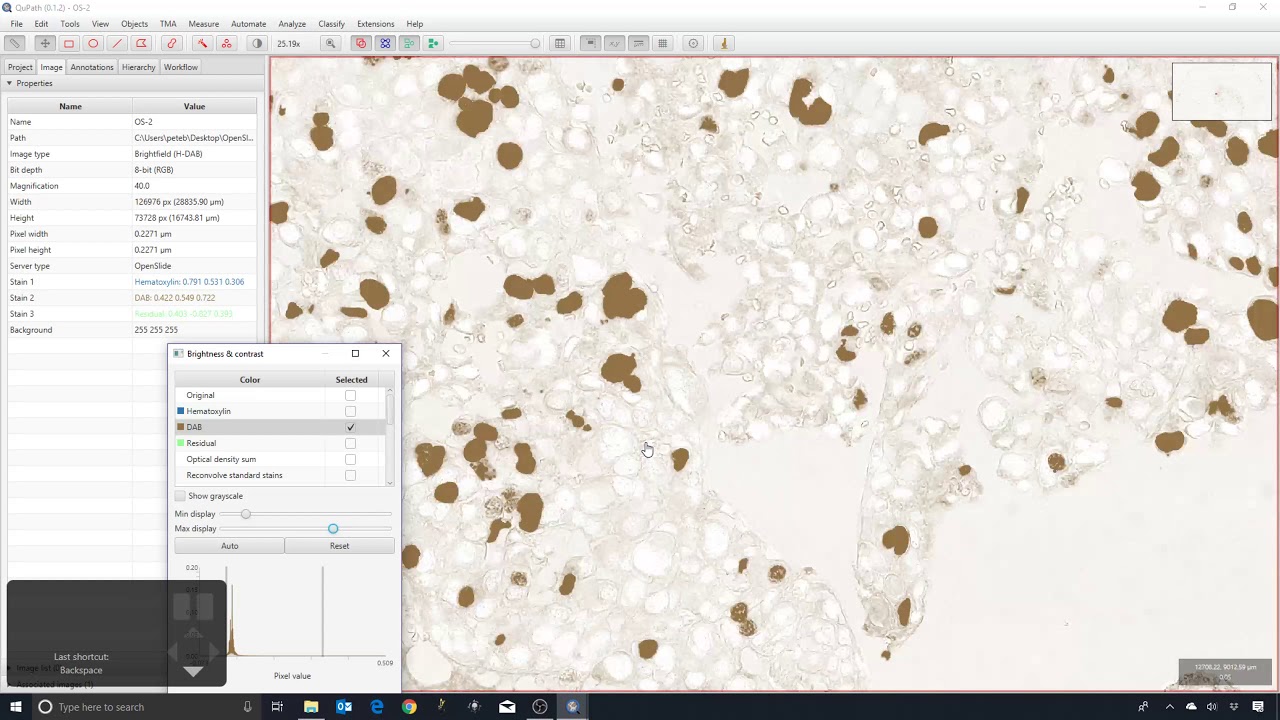 2 - Setting stain vectors