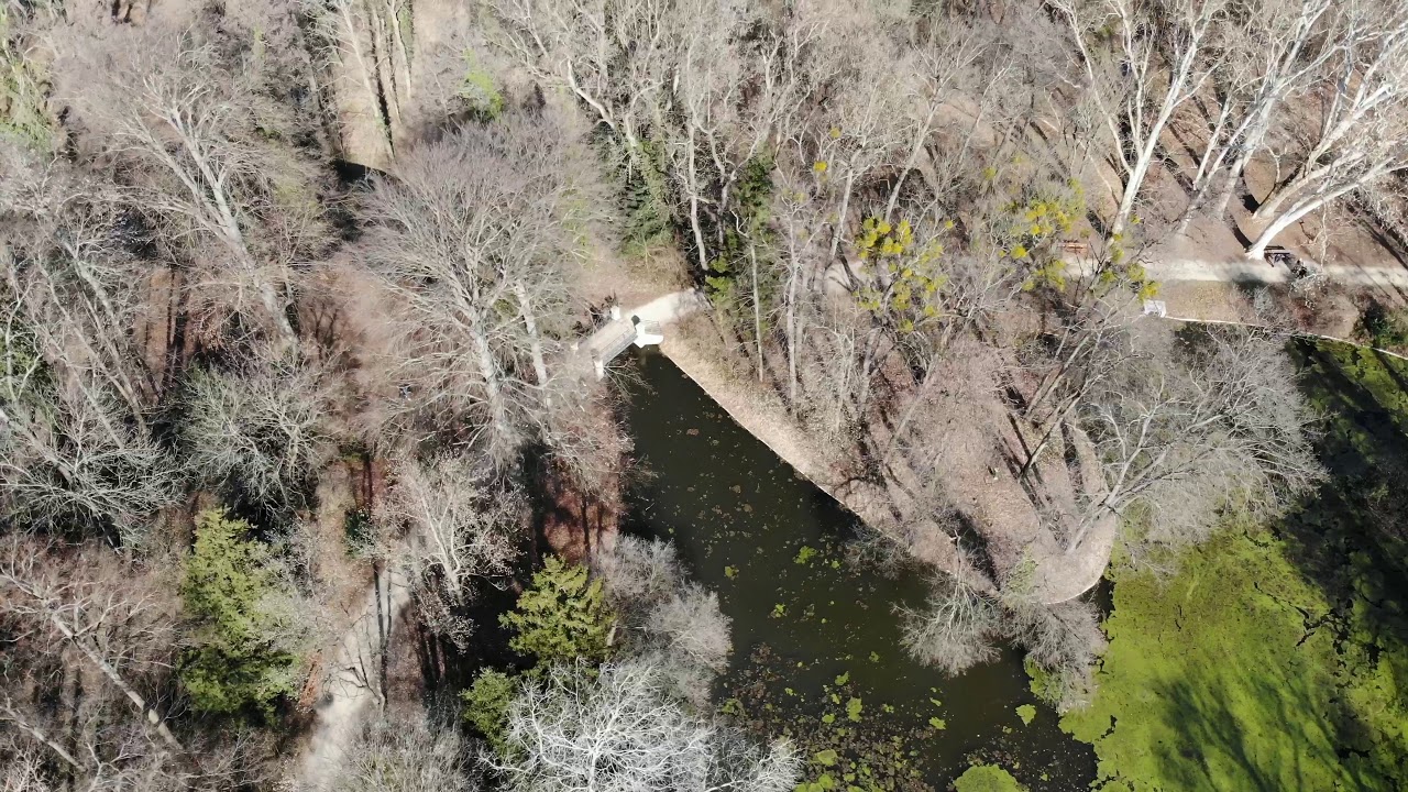 Alcs&uacute;tdoboz Arbor&eacute;tum 4k