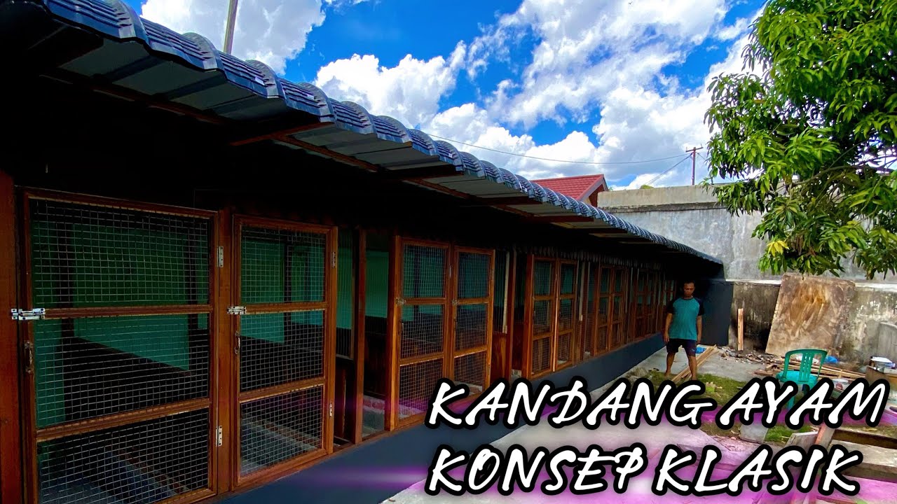REVIEW KANDANG AYAM SEDERHANA DENGAN KONSEP KLASIK