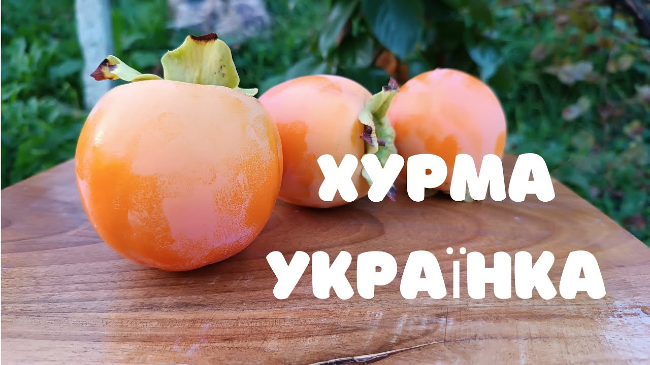 Хурма Українка