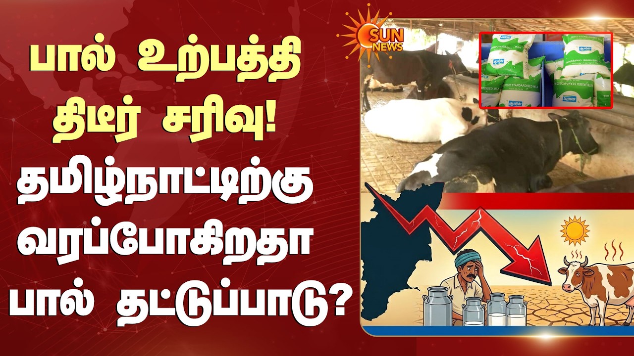 Milk Shortage? | பால் உற்பத்தி திடீர் சரிவு | தமிழ்நாட்டிற்கு வரப்போகிறதா பால் தட்டுப்பாடு?