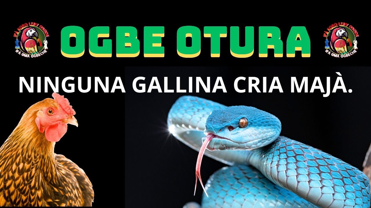 !ESTE  CAMINO TE EXPLICA EL PORQUÉ OGBE TUA NO CRÍA HIJOS AJENOS.¡