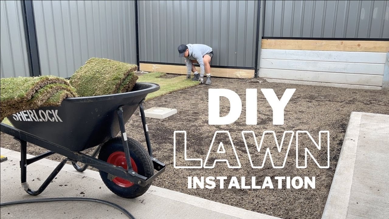 TIFTUF BERMUDA COUCH GRASS INSTALLATION (WEEK 1 UPDATE) | How to Install Turf DIY