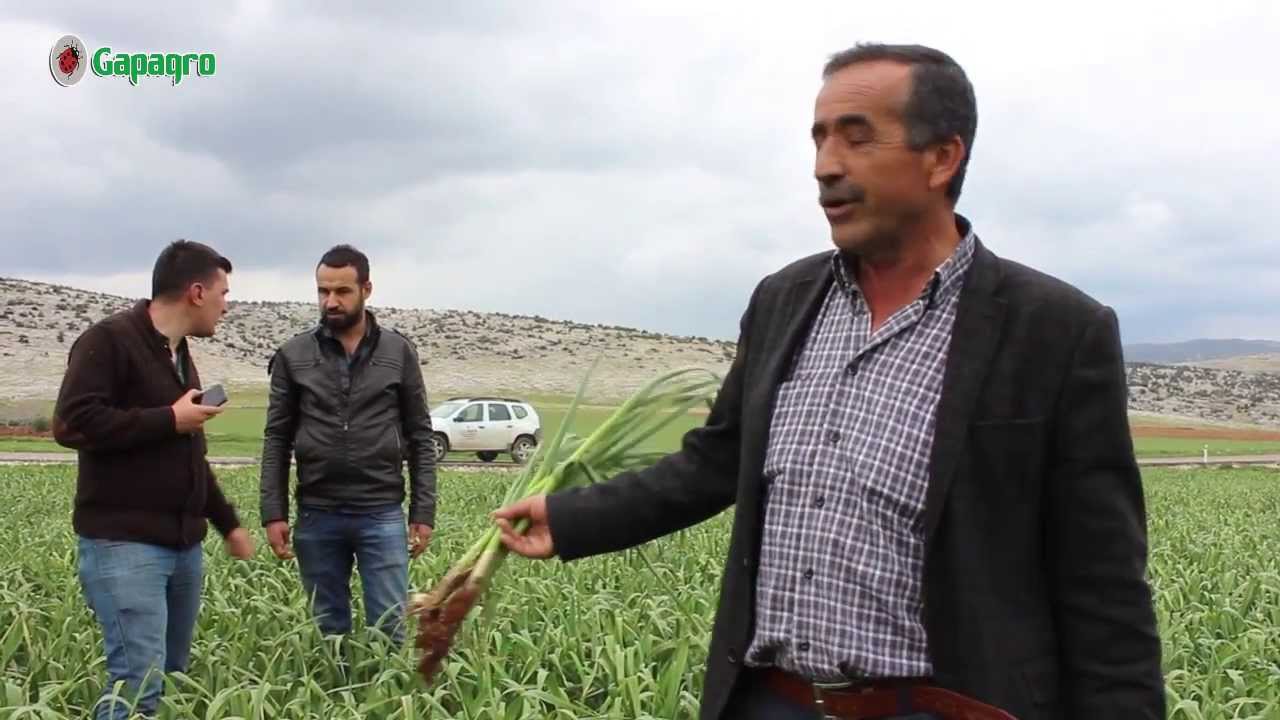 Gapagro Mühendis Danışmanlarımızın Köklüce Köyü ziyareti