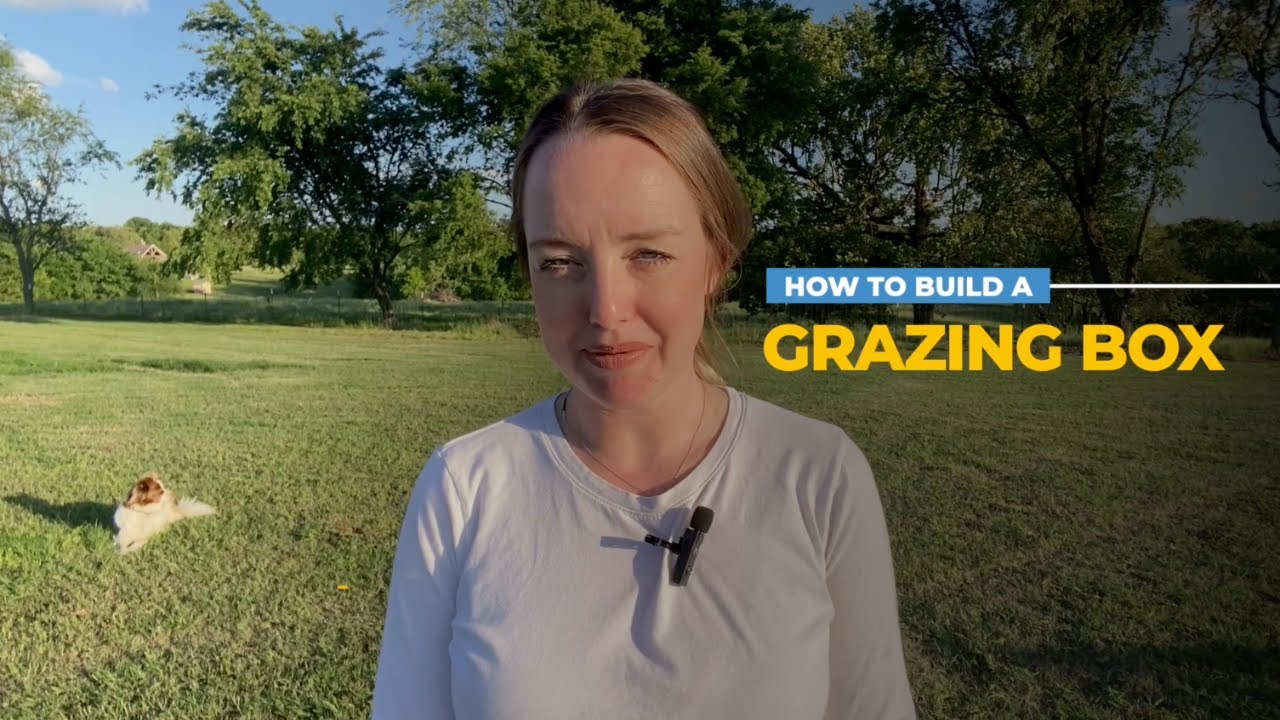 How To Build a Grazing Box for Chickens
