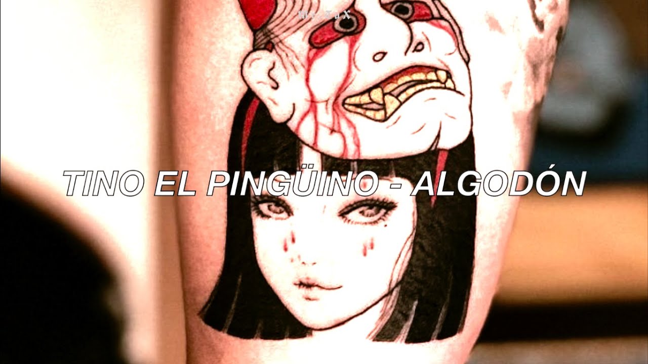 Tino el Pingüino - Algodón l Letra