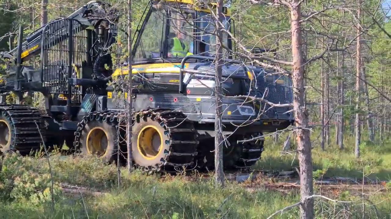 Innovatiiviset CLT-levyt parantavat puunkorjuun mahdollisuuksia pehmeillä mailla
