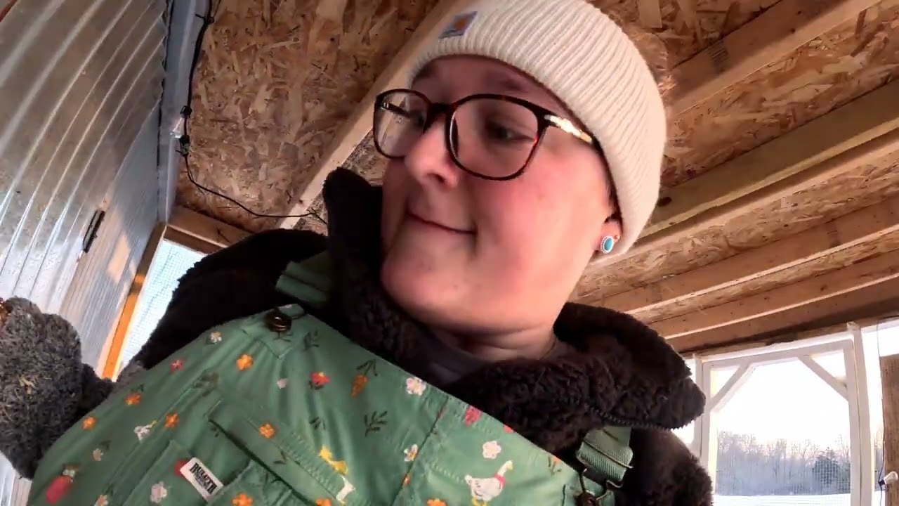 Feeding the chickens and putting more bedding down!