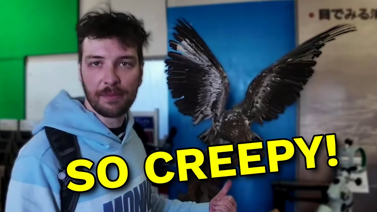 This Taxidermy Museum Creeped Us Out