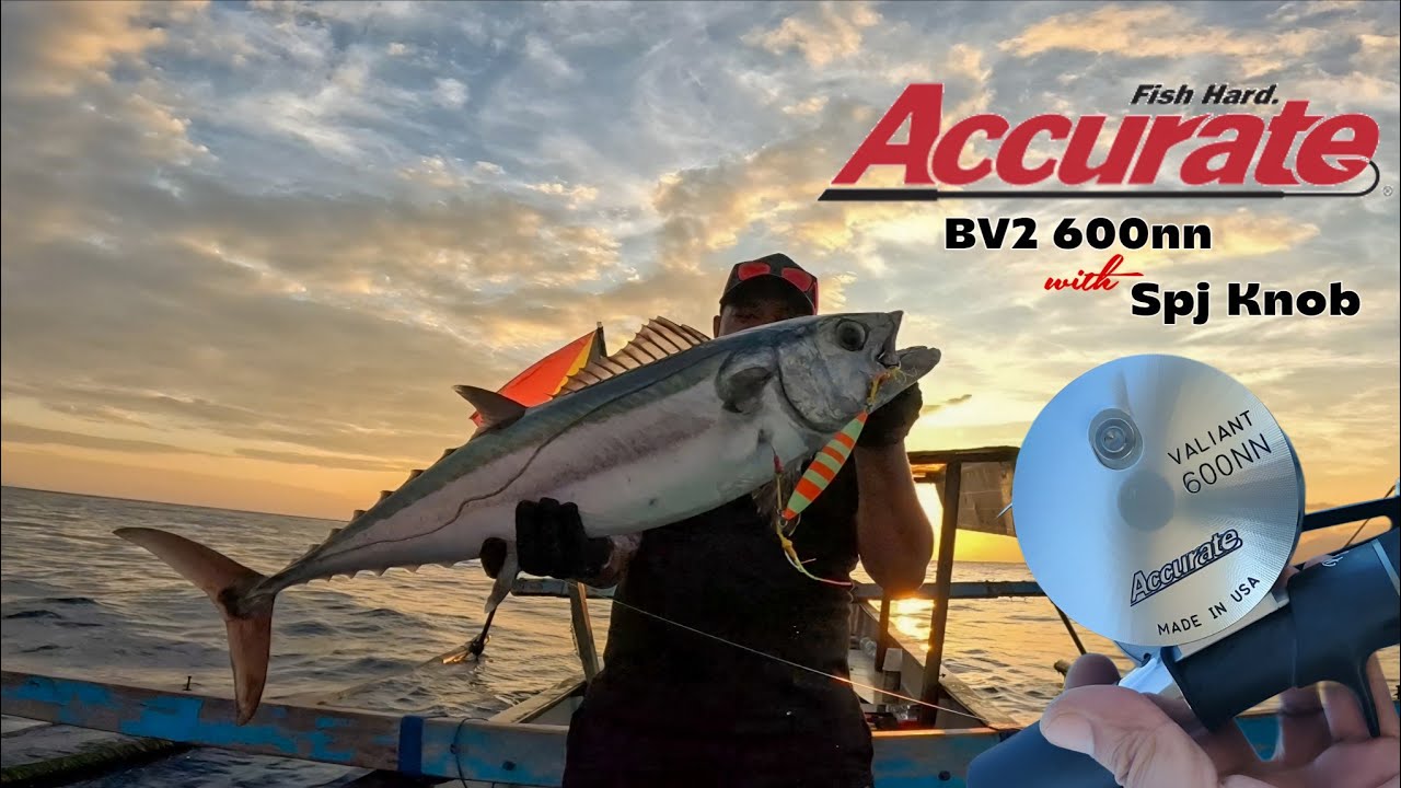 ACCURATE BV2 600NN with SPJ KNOB❗MY BEST JIGGING REEL SO FAR