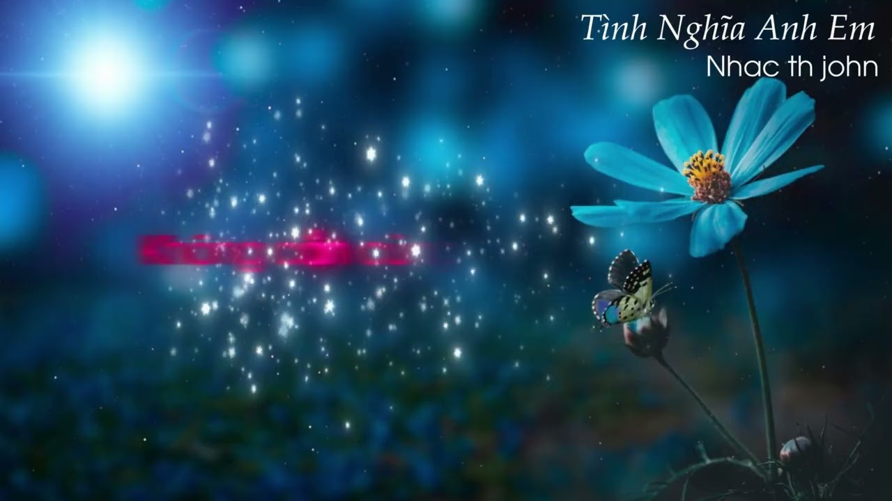 Tình Nghĩa Anh Em