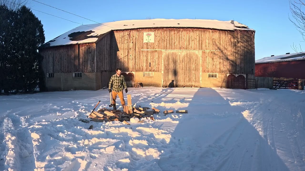Daily firewood: Day 6. First one in the daylight.