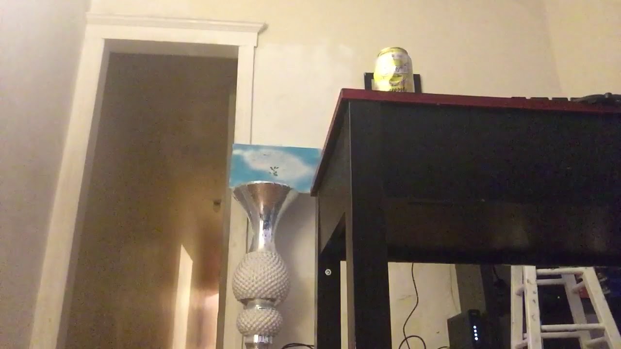 The zoom challenge(funny version)