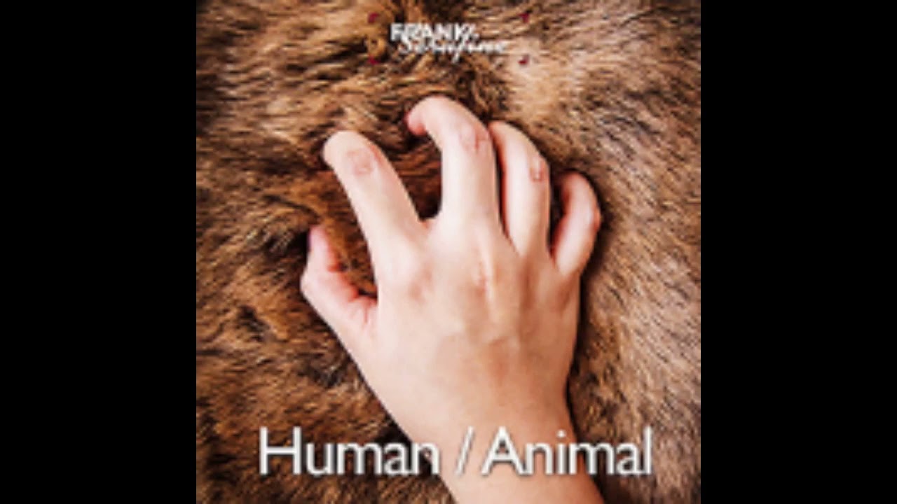 Serafine Human - Pig & Dinosaur Squeal Sounds