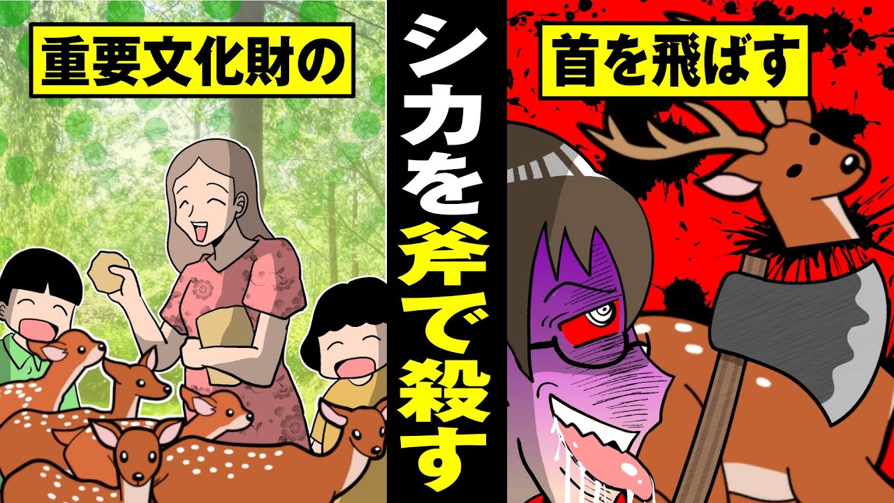 【愛車の復讐】名所の鹿の首をはね飛ばす…重要文化財の損失。【法律漫画】