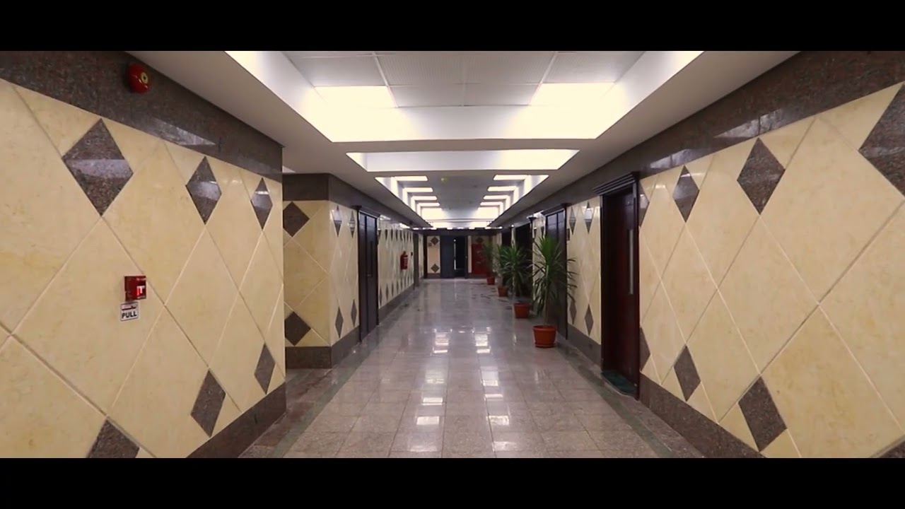 فيلم قصير عن تطور سور وبعض مبانى أكاديمية الفنون تحت إشراف أ.د أشرف زكى وصياغةدمصطفى سليم