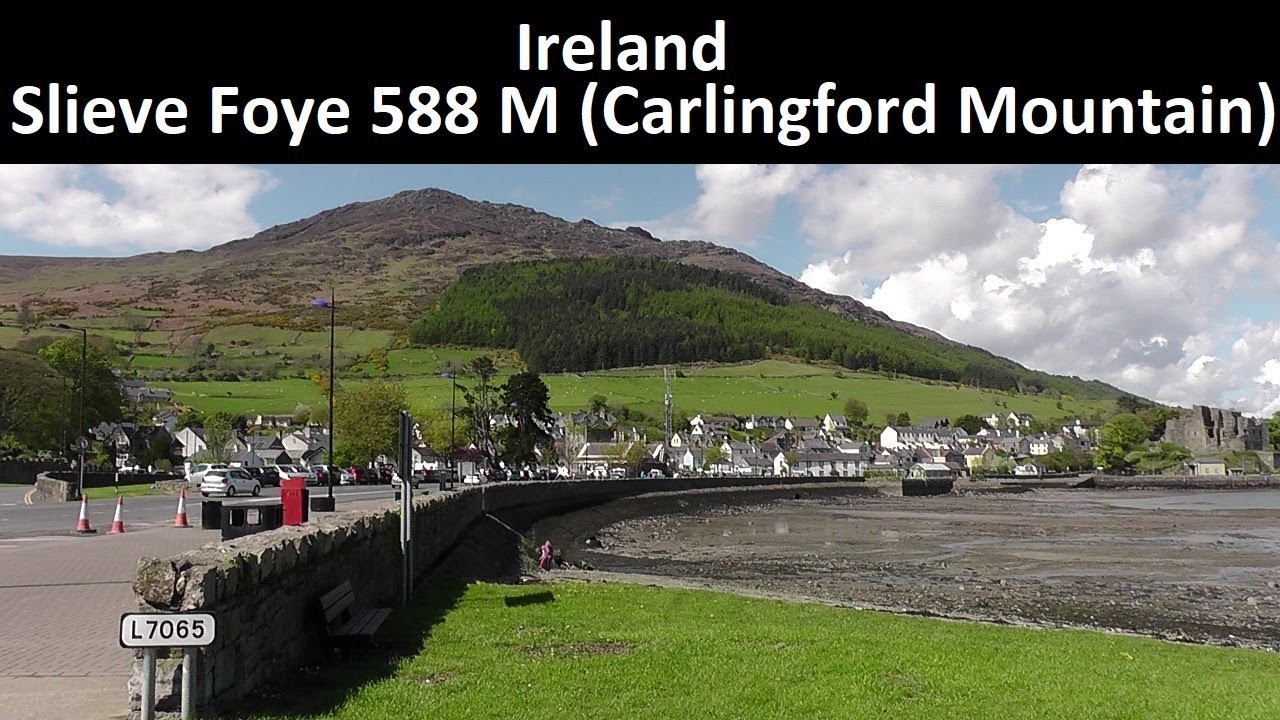 Ireland -  Slieve Foye 588 M (Carlingford Mountain)