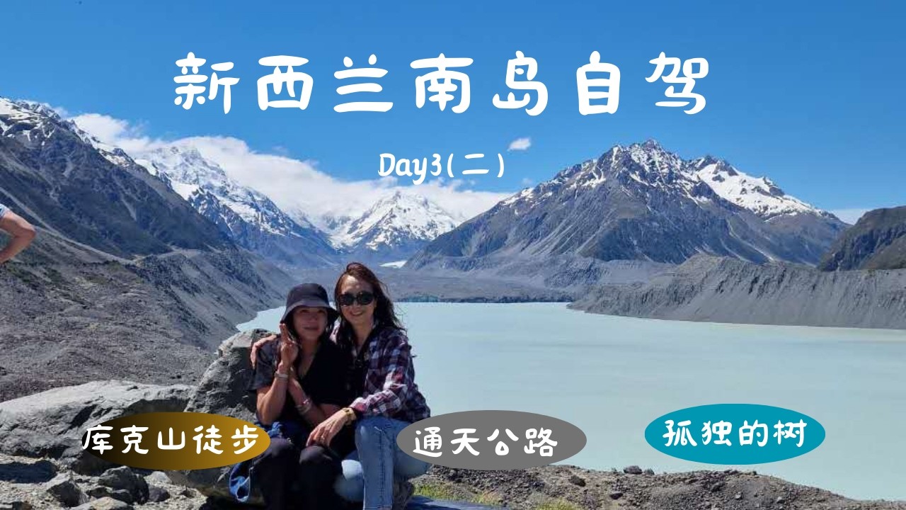 新西兰自驾 Day 3（二） 库克山徒步🏔️ 全世界最孤独的树，通天公路美景/ Hiking in Aoraki/Mount Cook National Park ，