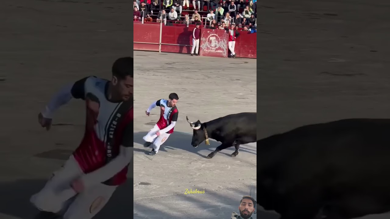 EL MEJOR QUIEBRO A UN TORO BRAVO#tricks#best#bestplayer