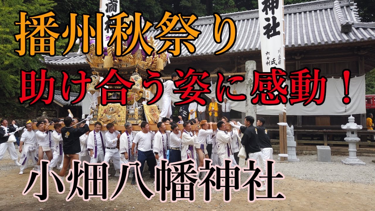【播州秋祭り】三基の神輿を助け合い！担ぐ姿に感動！小畑天満神社 ・令和７年10月12日