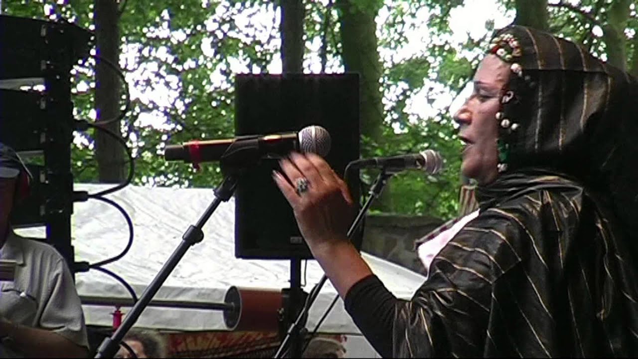 Mariem Hassan - 2 -  LIVE at Afrikafestival Hertme 2010