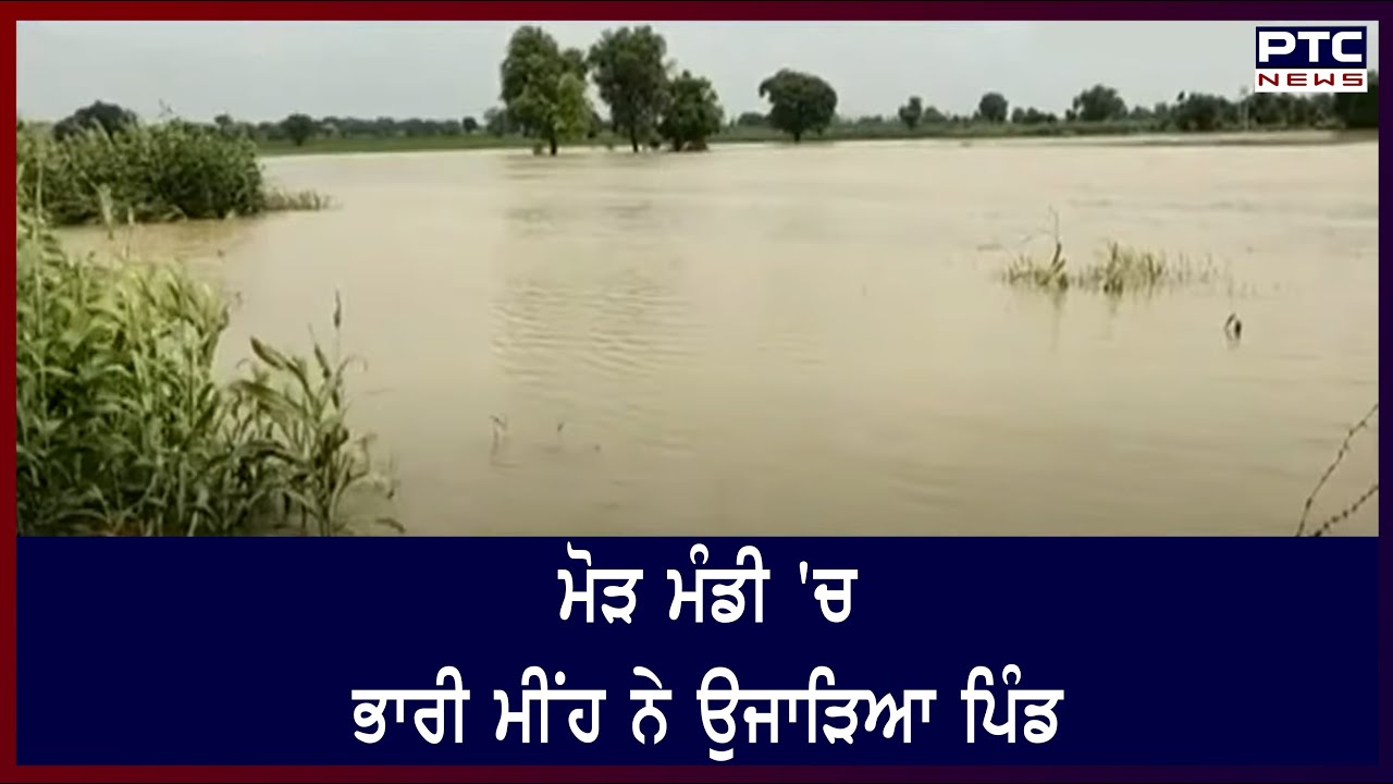 Flood Like Situation in Maur Mandi: ਮੋੜ ਮੰਡੀ 'ਚ ਭਾਰੀ ਮੀਂਹ ਨੇ ਉਜਾੜਿਆ ਪਿੰਡ