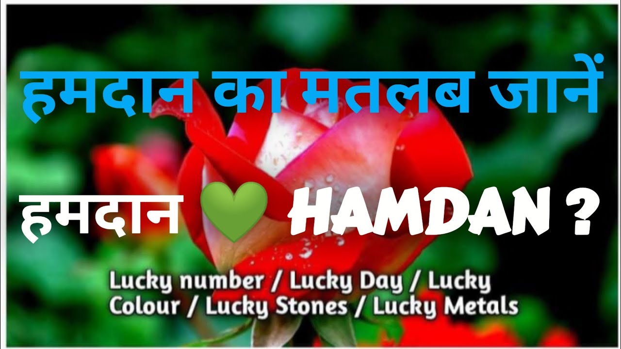Name Meaning Hamdan | हमदान नाम का मतलब बताओं | Hamdan Name Full Information In Hindi | All In One