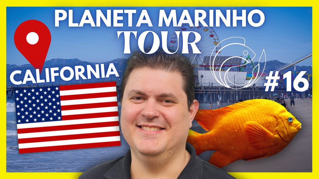 VISITANDO A KUNG FU CORALS E AQUÁRIO DO MARLEN | PLANETA MARINHO TOUR: CALIFORNIA #EP16