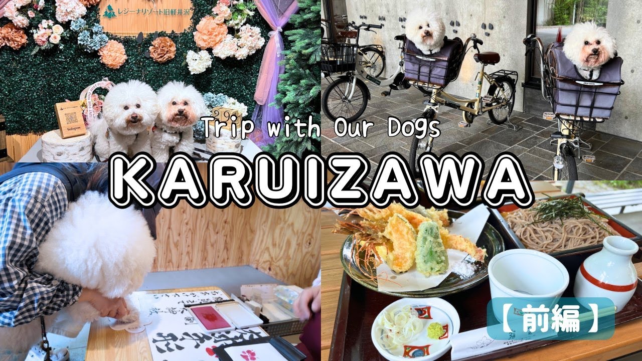 【愛犬と軽井沢】癒しの宿と自然｜レジーナリゾート旧軽井沢・熊野皇大神社・雲場池・旧軽銀座｜ビションフリーゼ【前編】