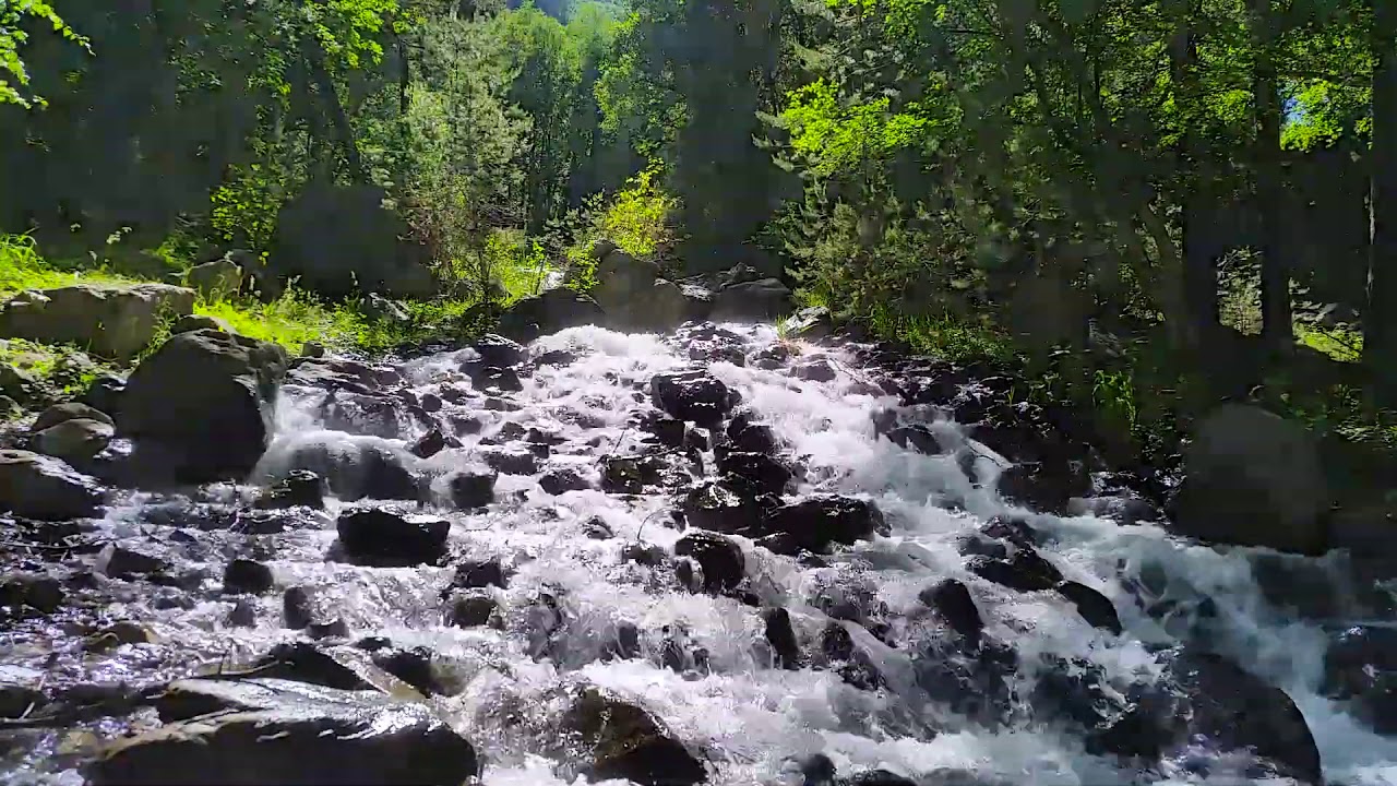 Sonido relajante de un r&iacute;o de monta&ntilde;a en la regi&oacute;n de chile * Naturaleza y sonidos del bosque